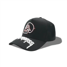 3D-broderi på brätte hattar baseballkeps